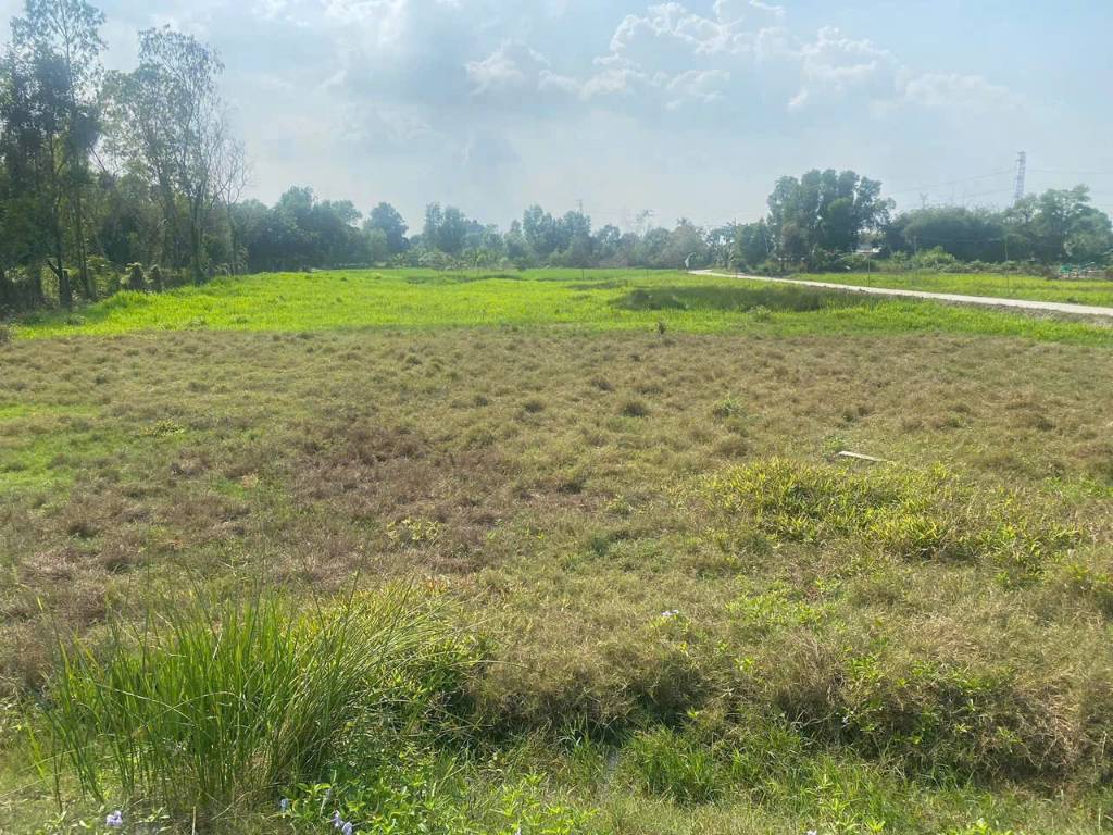 Bán nền thổ 5x27m MT Nguyễn Văn Mỹ 6m, gần trung tâm thị trấn, xã Tân Trụ, Tây Ninh