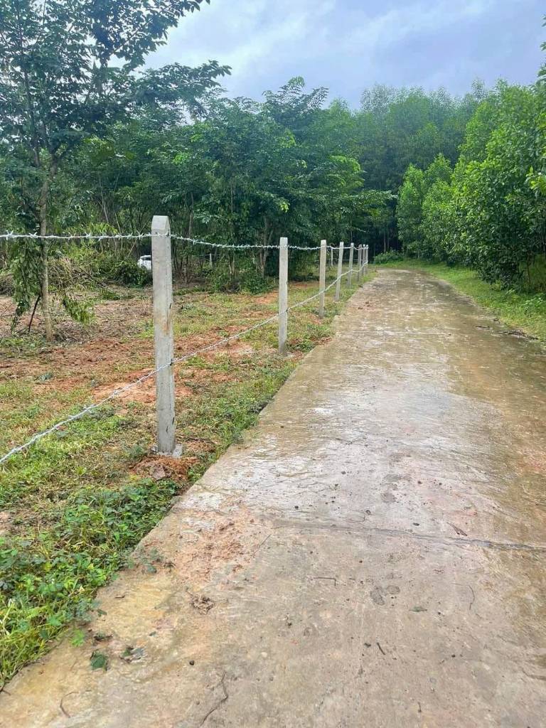 Đất vườn Giá Rẻ sát đường Quy Hoạch rộng 30m, Diên Tân, Diên Khánh, Khánh Hòa