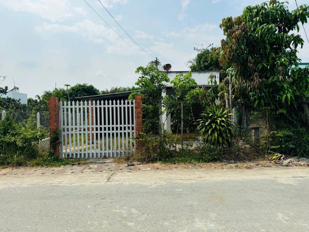 thuviennhadat.vn