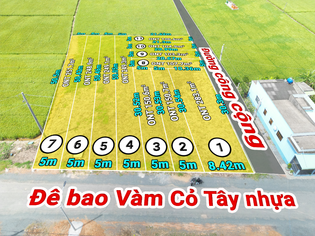 Đất thổ cư sẵn nền mặt tiền đê bao Vàm Cỏ Tây, sát đường vành đai Tân An