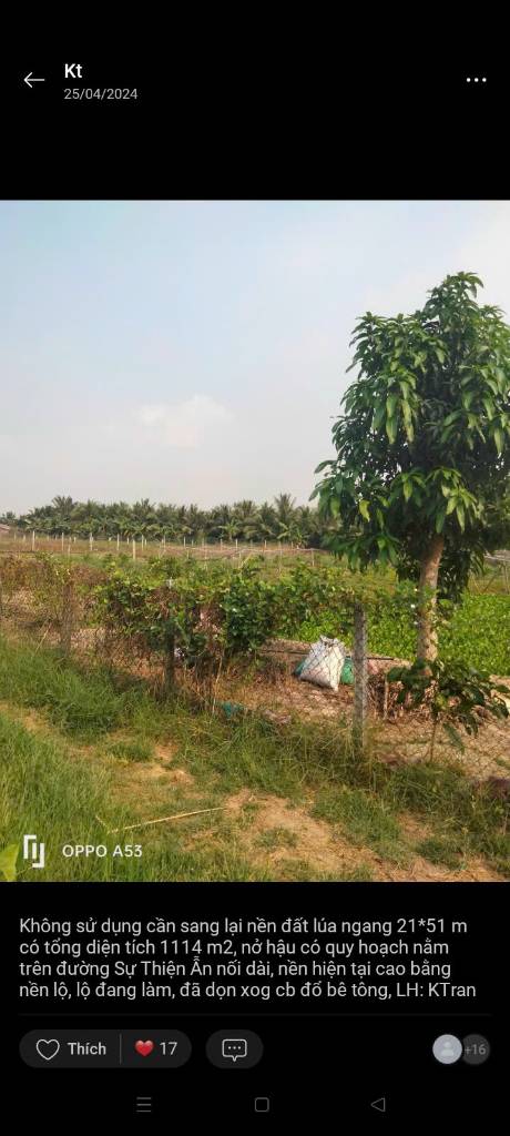 Đất nông nghiệp 20*50m, vị trí gần đường Huỳnh Tấn Phát quẹo vào