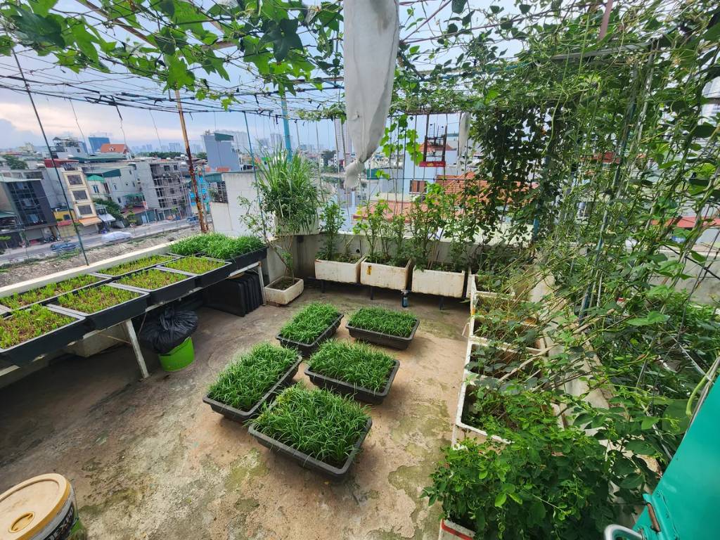 Bán nhà Ngọc Hồi, Hoàng Mai, 55m2 x 5 tầng, giá 9.9 tỷ, ngõ nông ô tô