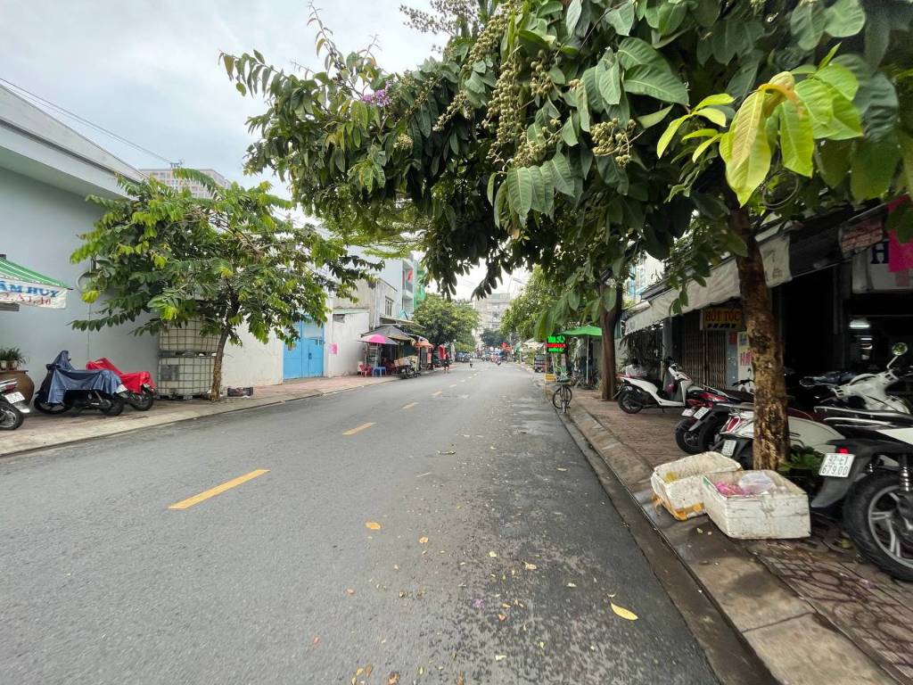 Mặt Tiền Kinh Doanh 100m2, Ngang 10m, Đường Lương Thế Vinh, Quận Tân Phú