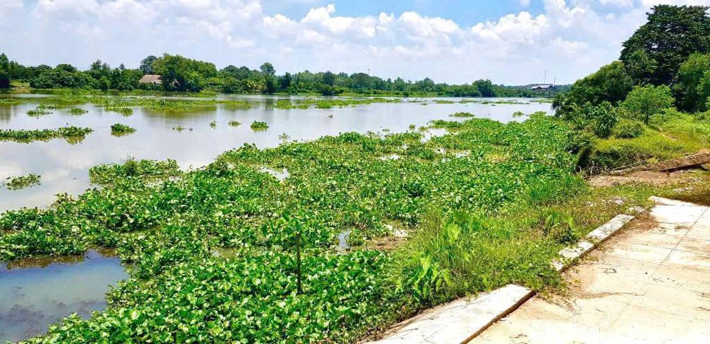 5153m2 đất ( có 300m2 thổ cư) mặt tiền sông Sài Gòn, xã Trung An, Củ Chi giá 33,5 tỷ