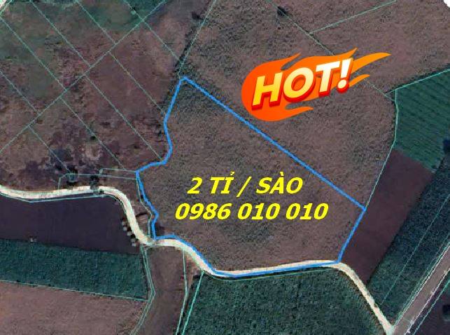 Bán Đất Chính Chủ 7.390 M2 Xã Láng Dài - Bà Rịa Vũng Tàu