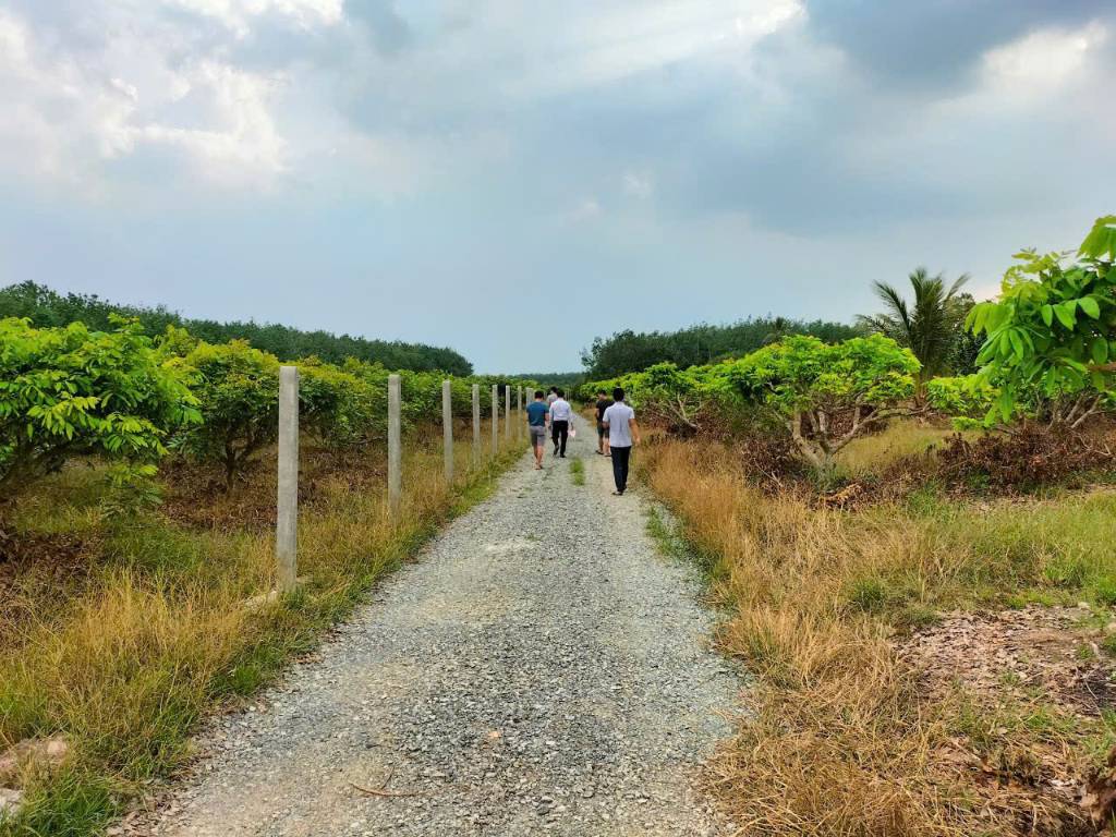 DO KẸT TIỀN NÊN TÔI CẦN BÁN GẤP LÔ ĐẤT Ở HUYỆN DƯƠNG MINH CHÂU - TÂY NINH