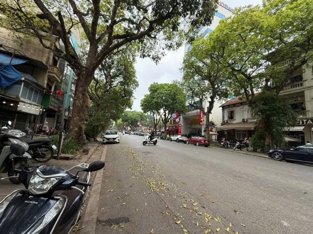 HÀNG TUYỆT CHỦNG QUẬN TÂY HỒ
MẶT PHỐ THỤY KHUÊ ĐỒNG CỔ THỬA ĐẤT SIÊU ĐẸP
NÓI KHÔNG VỚI QUY HOẠCH