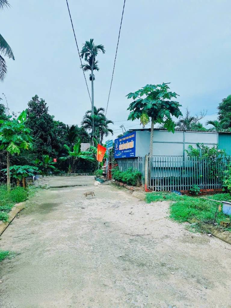 Đất Thổ Cư đẹp đường oto Khu dân cư Đông Dinh - Diên Toàn - Diên Khánh - cách Nha Trang 8km.