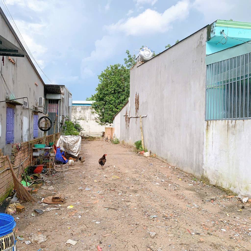 Cần bán lô đất 172,2m² ngay chợ Chánh Lưu, sát đường ĐT 741 – Phường Chánh Phú Hòa, Bến Cát, Bình Dương – Giá chỉ 1.55 tỷ
