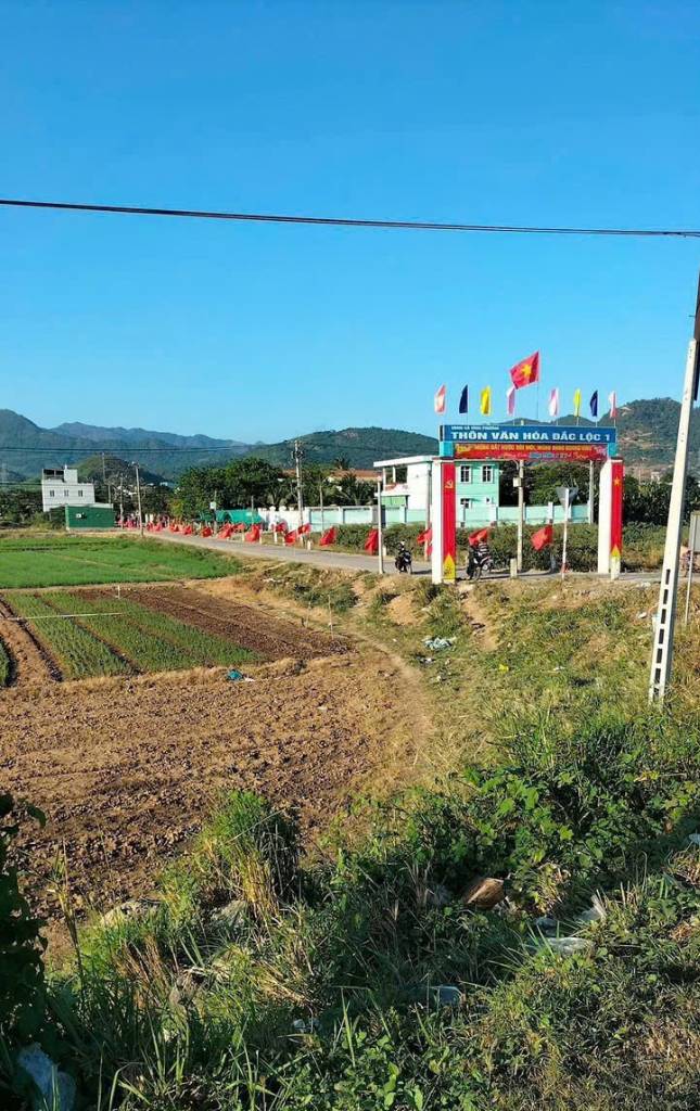 Bán đất MT đường Đắc Phú, cạnh KCN Đắc Lộc