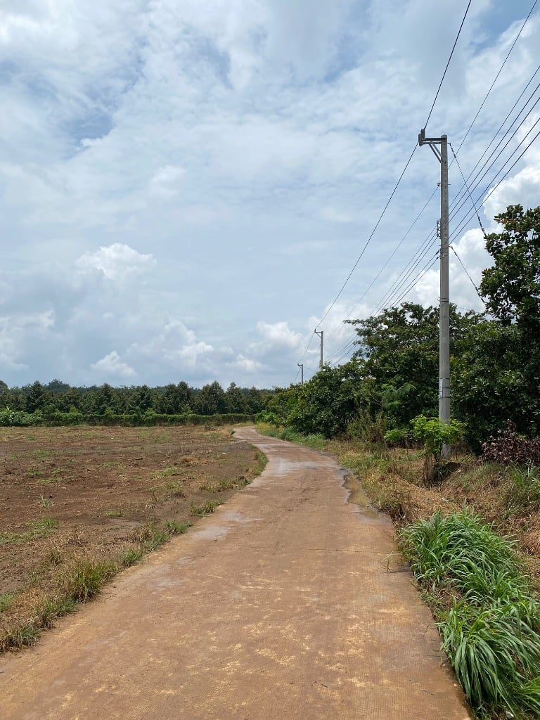 Bán đất Long Hà, Phú Riềng, vị trí đẹp, pháp lý rõ ràng