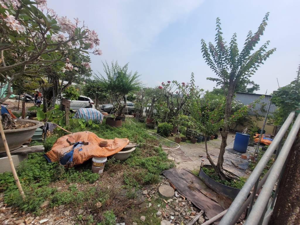 Đất vuông đẹp đường số 11, Linh Xuân,  1172m² thổ cư - Hẻm xe tải vòng quanh, chỉ 50 Tỷ