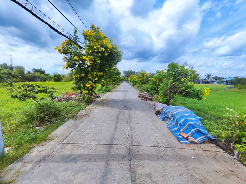 CẦN BÁN 2050M² ĐẤT THỔ CƯ MẶT ĐƯỜNG BÌNH TRƯỜNG, ĐÃ SAN LẤP