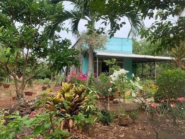 Bán đất vừờn sầu 1200m2 tại Xã An Thái, Huyện Phú Giáo, Bình Dương - Giá chỉ 290 triệu