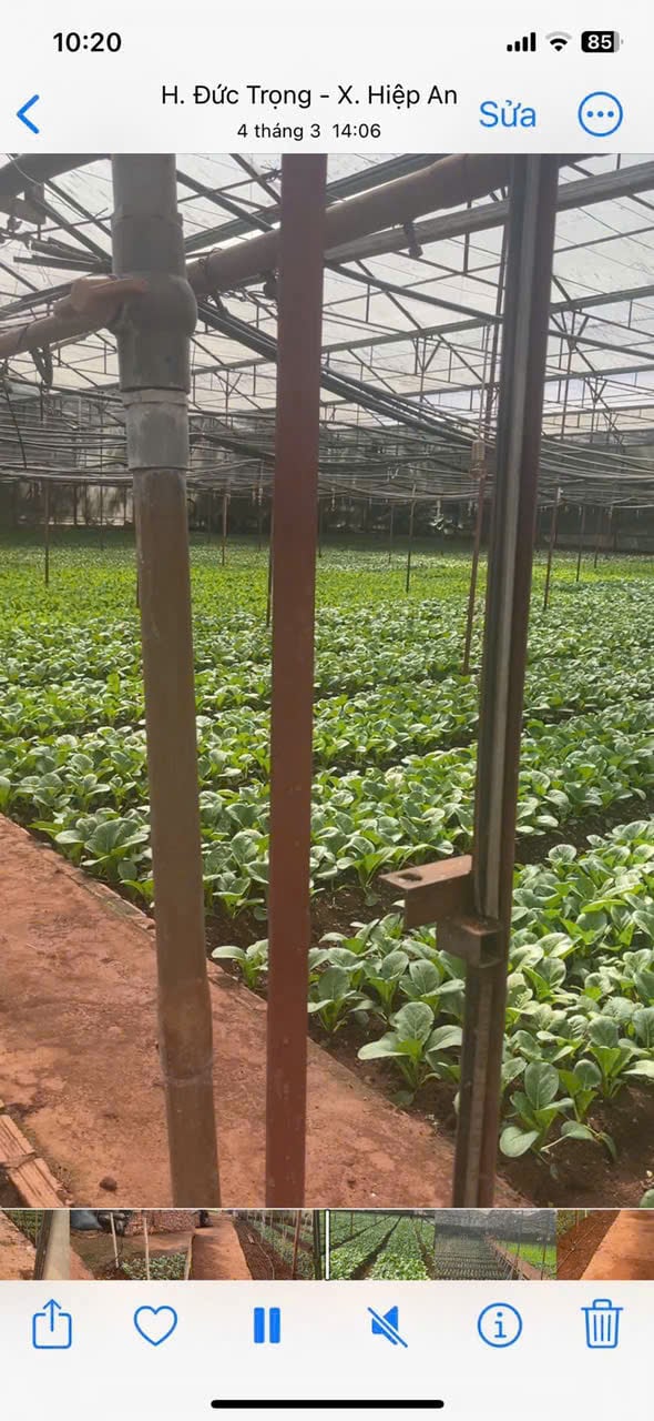 Hạ giá kịch sàn! Bán gần 5000m2 Hiệp An - giảm 5 tỷ