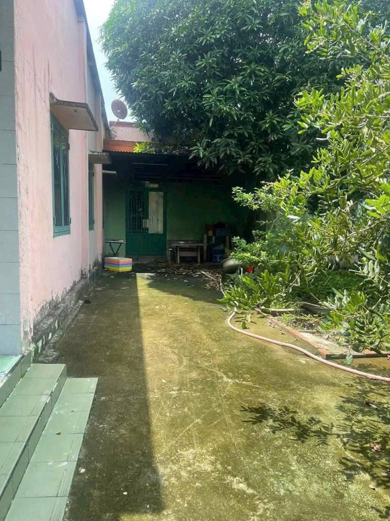 452m2 Thổ Cư( 21x21 )vuông vức, Tân Triều, phân lô tách thửa được 5 lô