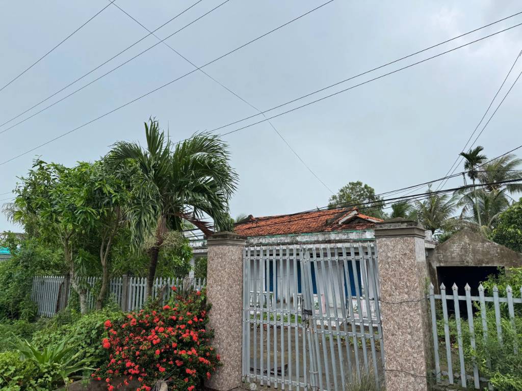 Bán nền thổ 24x35 mt tl 833 gần chợ và trường học giáp Cần Đước thuộc Xã Vàm Cỏ Tỉnh Tây Ninh