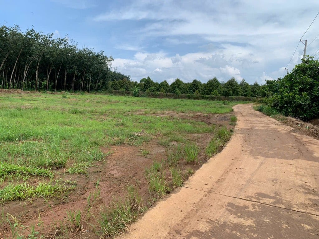 Bán Đất Vị Trí Đẹp Long Hà – Gần Chợ, Trường, UBND