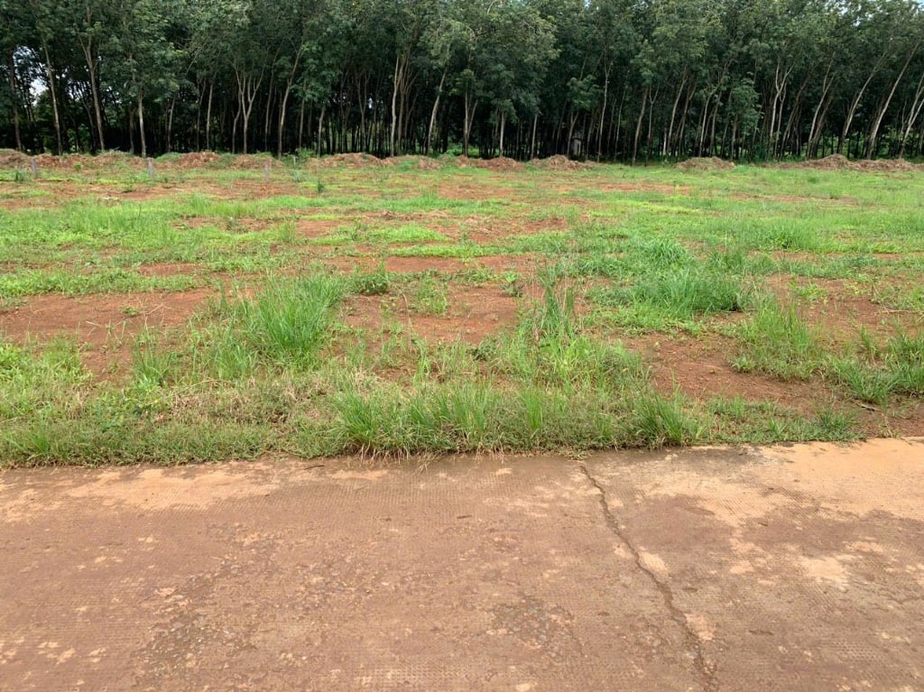 Mua đất Long Hà Phú Riềng, giá tốt – Tiềm năng sinh lời cao