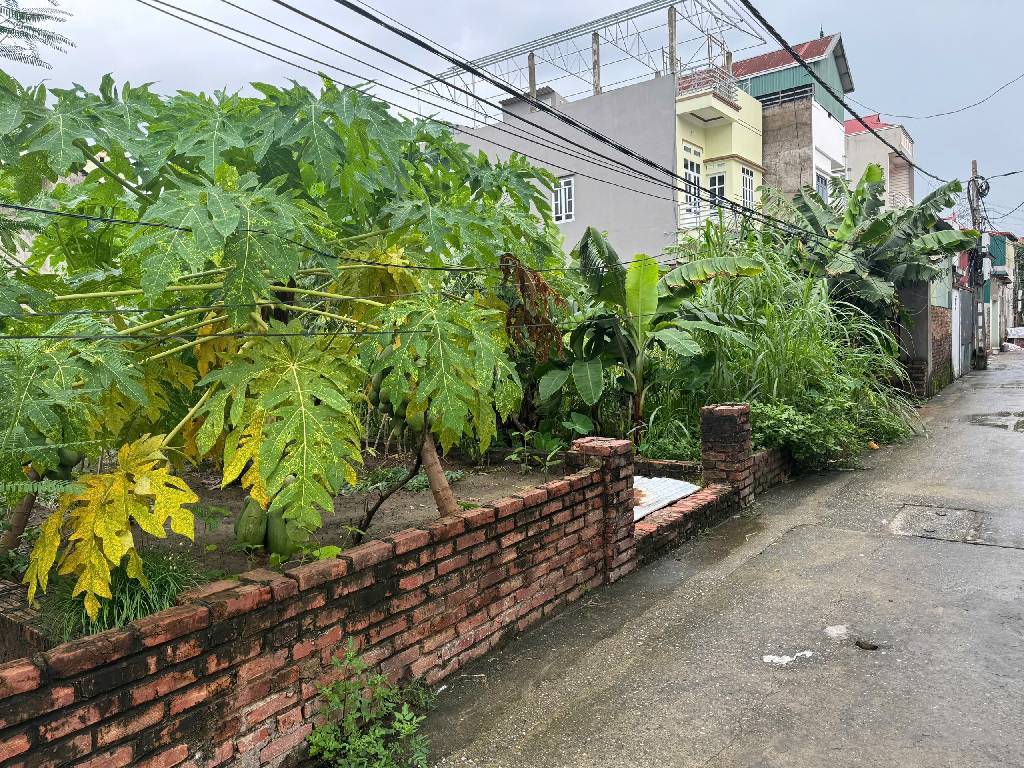Bán đất Khu 5 Thụy Lôi, Thụy Lâm, Đông Anh 95m², mặt tiền 5m,  đường 4m - Giá nhỉnh 4 tỷ