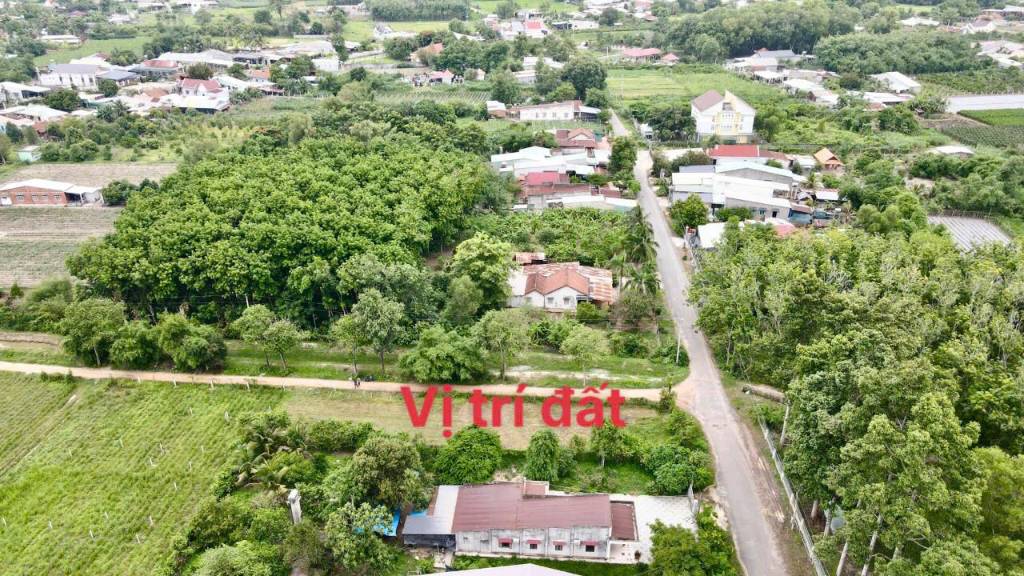 Cần bán lô đất gần khu công nghiệp Trảng Bàng, 300m2 full thổ, giá 550 triệu