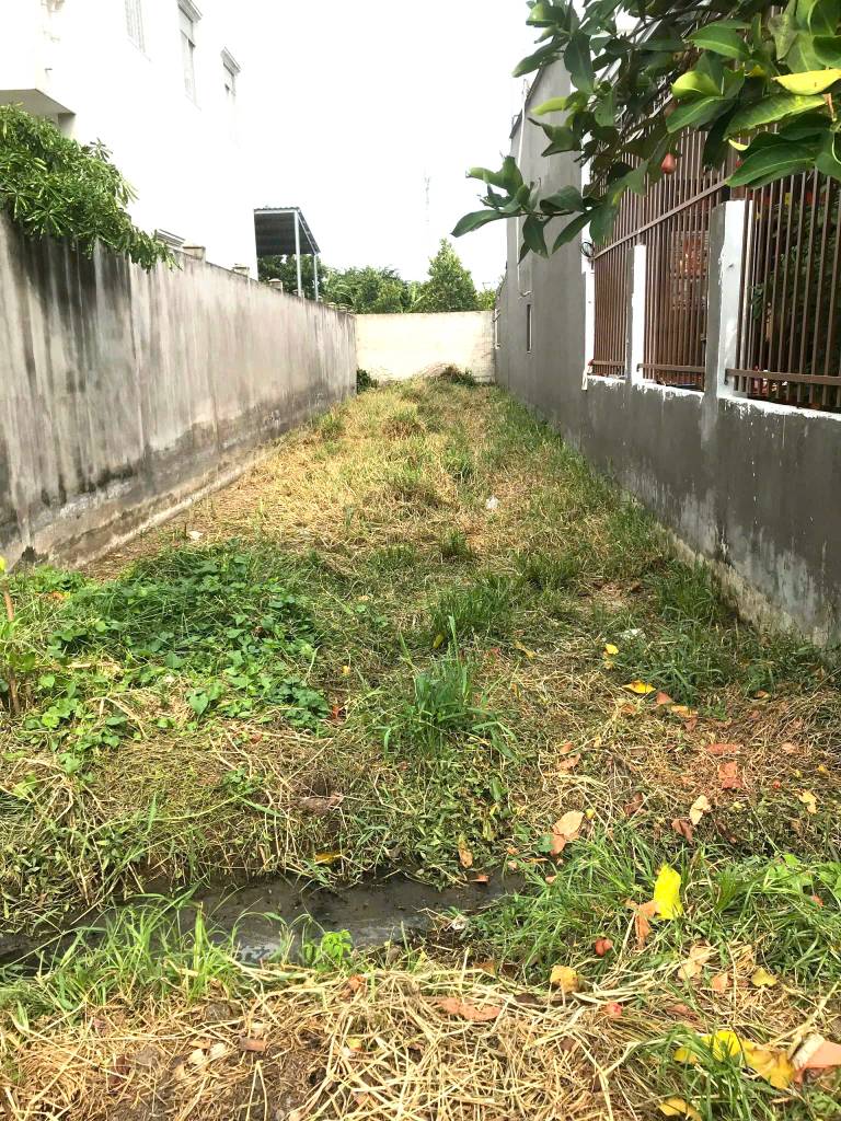 Chính chủ bán gấp lô đất 163m2 đường Bến Than, Tân Thạnh Đông, Củ Chi, giá 780 triệu, sổ hồng riêng