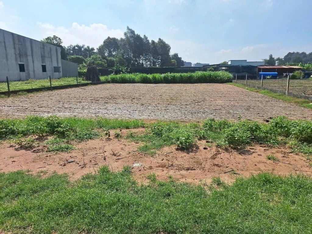 Bán đất Tân Thông Hội Củ Chi, dt 6x26m full thổ, SHR, giá 680 triệu, bao sang tên