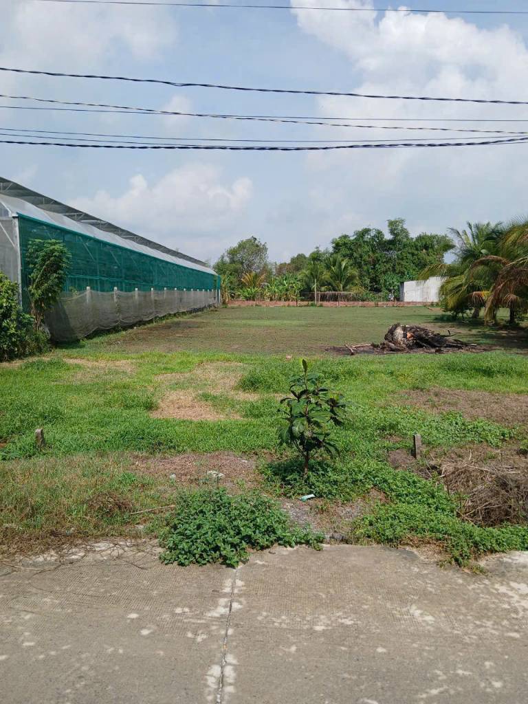 Bán đất thổ cư đường Đức Hòa Thượng, Đức Hòa, 365m2, beton 3m, giá 1,55 tỷ
