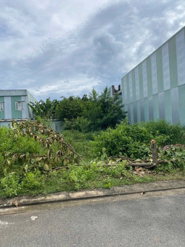 Bán đất mặt tiền Vườn Lài, Quận 12, 100m², ngay chợ Cầu Đồng, tiện kinh doanh buôn bán đa ngành nghề