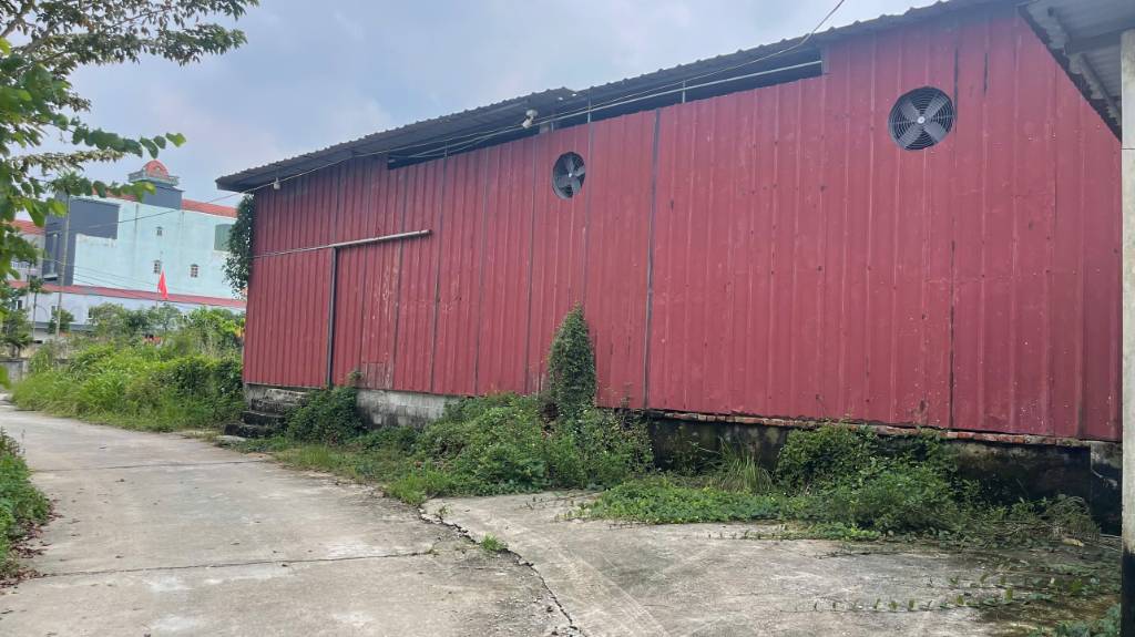 Bán đất mặt TL 381C, cạnh Vin 2, ngay giữa vành đai 3,5 và VĐ4 trung tâm sầm uất nhất khu vực