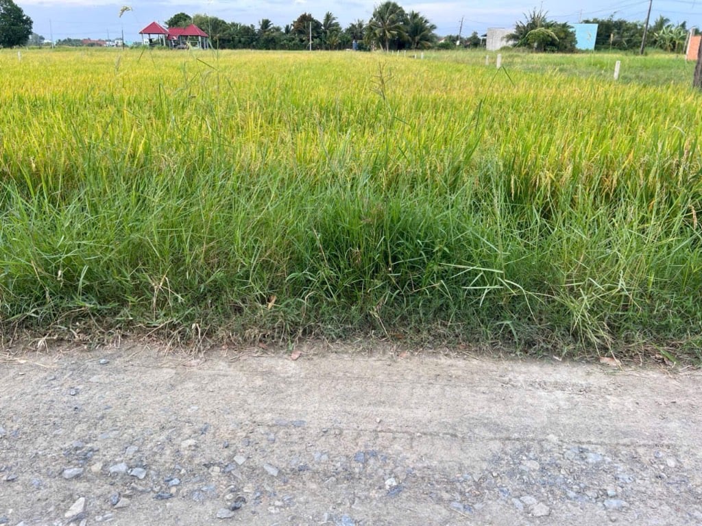 CHÍNH CHỦ BÁN ĐẤT THỔ CƯ BÌNH LỢI, HOÀ KHÁNH ĐÔNG-  5X40 GIÁ 1,1 TỶ