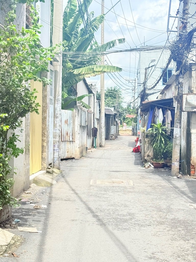Bán đất hẻm 556 Nguyễn Thái Sơn, Phường 5, Gò Vấp
