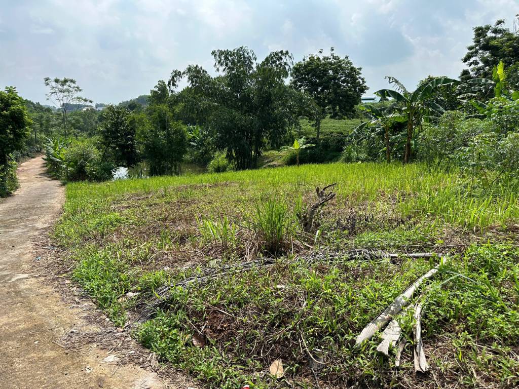 Bán lô đất Phúc Trìu, Phúc Thuần, thành phố Thái Nguyên, 200m2 có 160m2 thổ cư, giá chưa tới 1 tỷ
