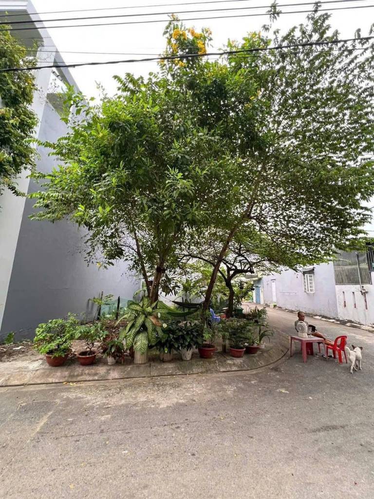 Bán lô góc 2 mặt tiền hẻm 99, đường số 6 – Nguyễn Xiển, TP Thủ Đức (Q9 cũ)