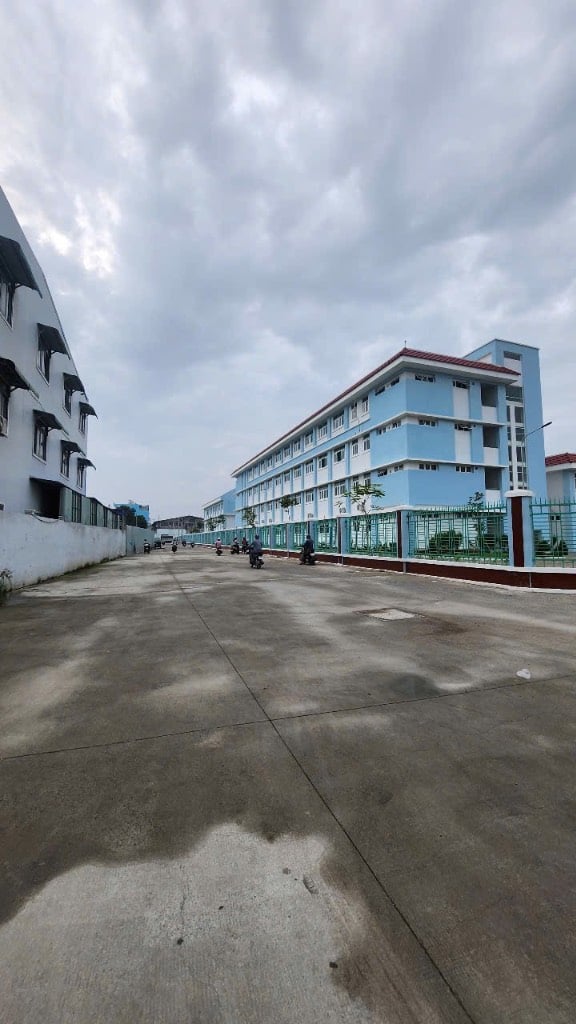 Bán đất thổ cư Hẻm 12m đường Hương Lộ 2, 846m2 ( 30 x 30 ) Full thổ Không qui hoạch không lộ giới
