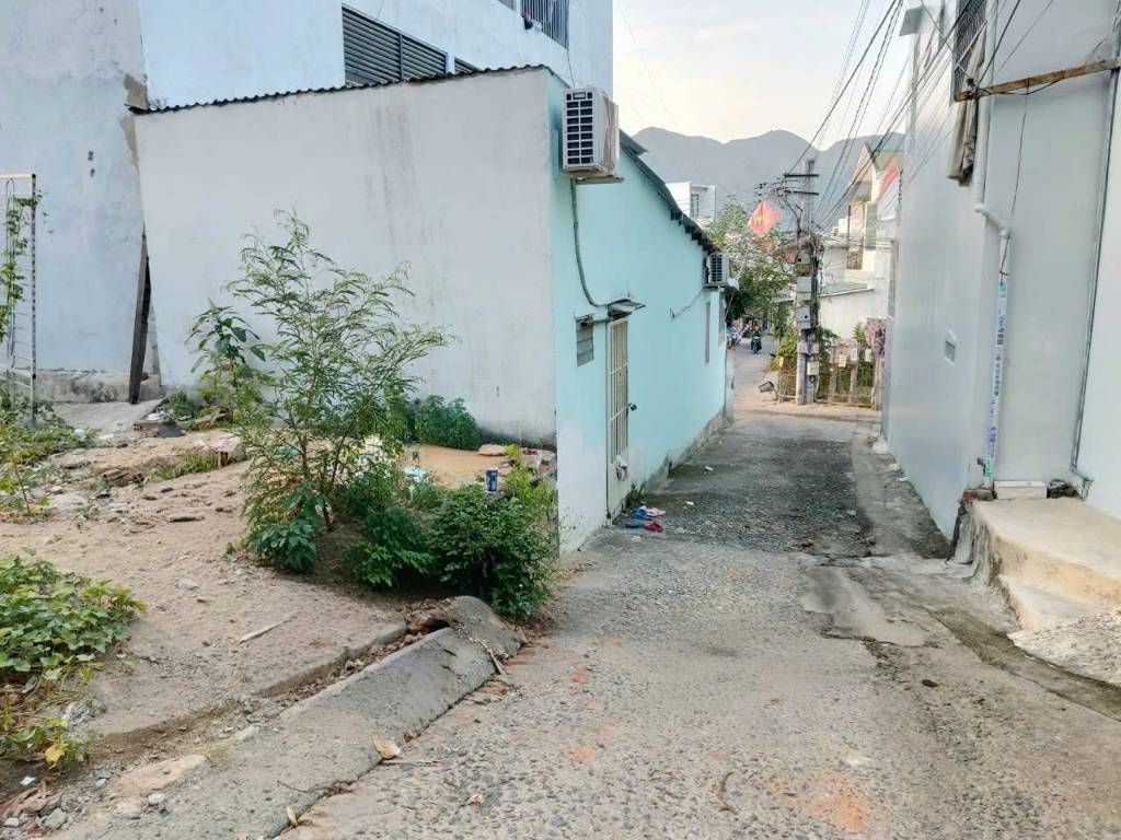 thuviennhadat.vn