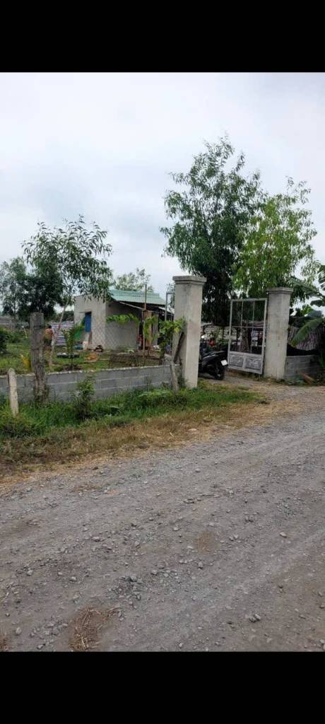 Bán đất Trung Lập Hạ, Củ Chi, diện tích 2000m², pháp lý sổ đỏ, giá 2,8 tỷ
