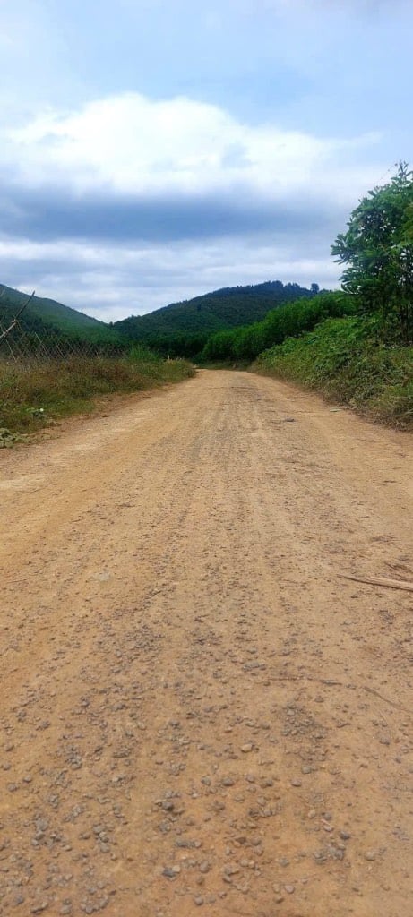 Bán lô đất vườn ở xã Diên Xuân, Huyện Diên Khánh, DT 722,5m2, đường Bêtông, Giá chỉ 270 triệu