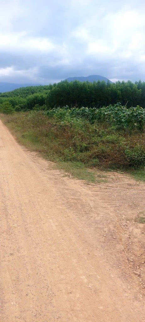 Bán lô đất vườn ở xã Diên Xuân, Huyện Diên Khánh, DT 722,5m2, đường Bêtông, Giá chỉ 270 triệu