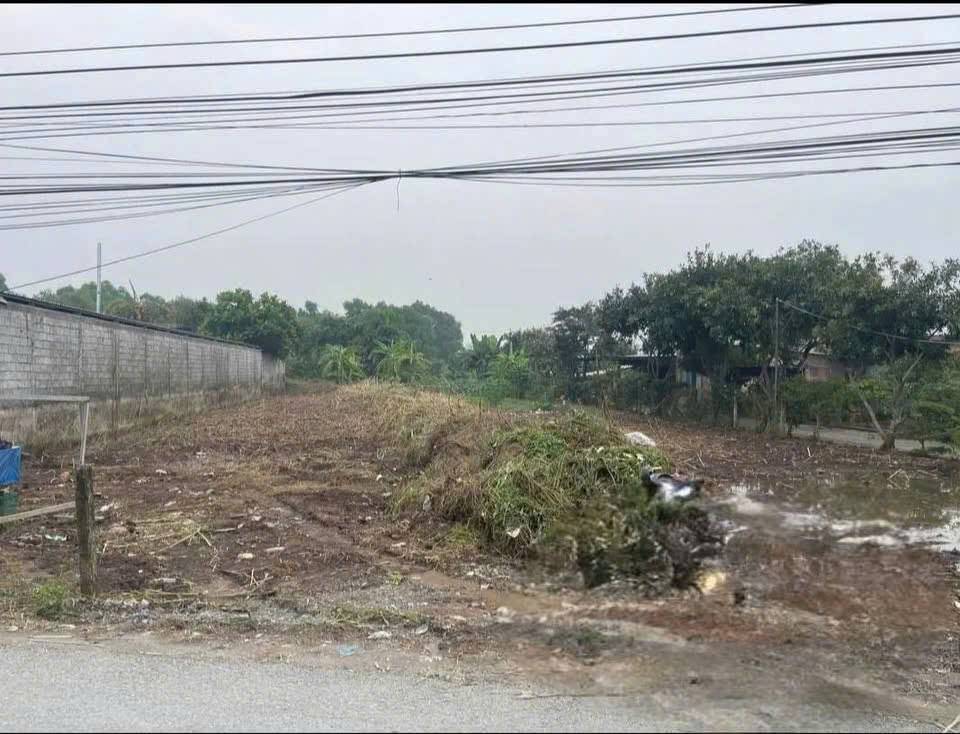 Chính chủ bán đất đường 181, Củ Chi, mặt tiền nhựa, vị trí đẹp, giá 5,75 tỷ