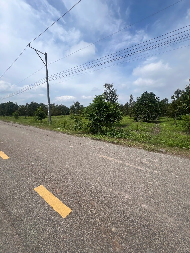 Bán đất Phước Sang, sau UBND Xã Phước Thành, giá 820tr, 1320m2 có sẵn 100m2 thổ cư