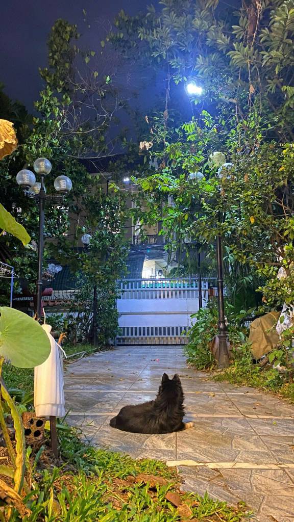 Bán biệt thự sân vườn 300m2 đất ngang 14m Đ QL13 HBP giá hơn 13 tỷ tl