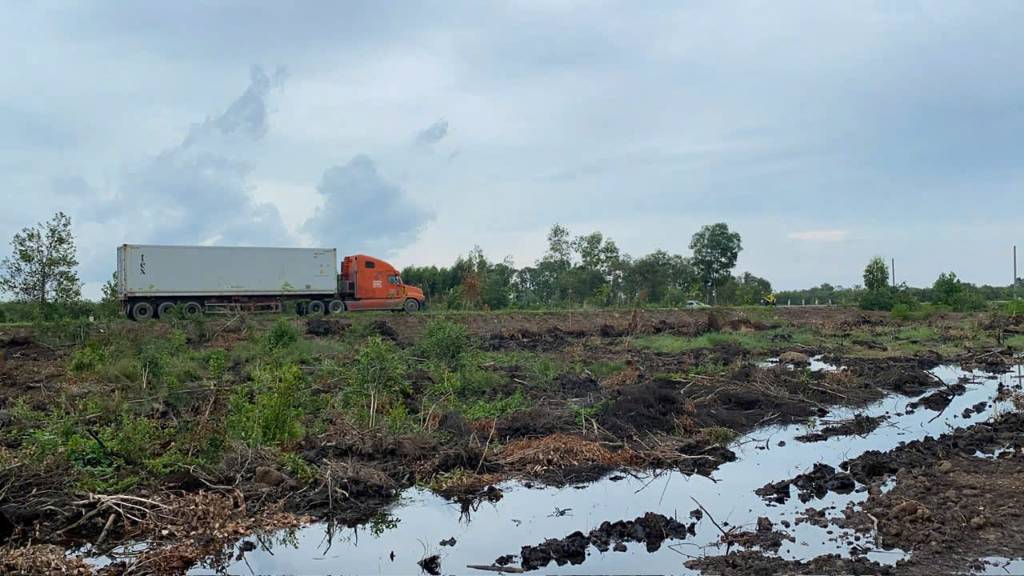 Bán đất Long An, Mỹ Thạnh Đông , Đức Huệ, đất rừng sản xuất quy hoạch lên SKC, 46,000m2, giá 17 tỷ