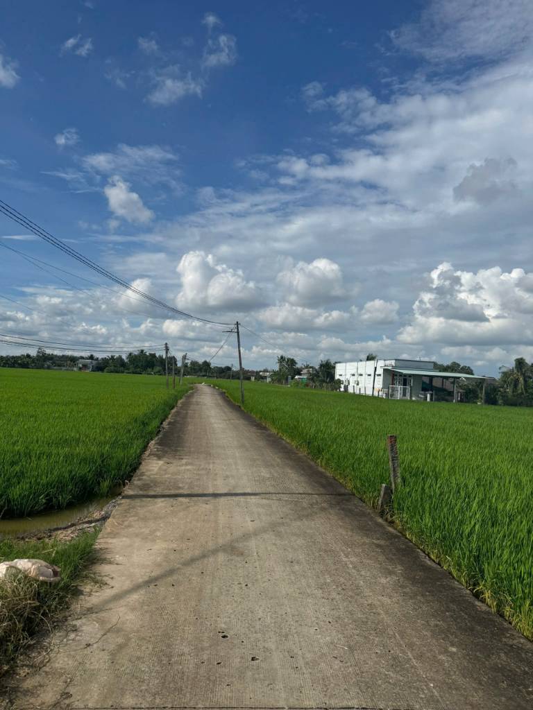 Bán lô thổ 5x17,28 mt đan 3m ra tl833b kế bên gần cụm KCN An Nhựt Tân Tại Xã Nhựt Tảo Tỉnh Tây Ninh