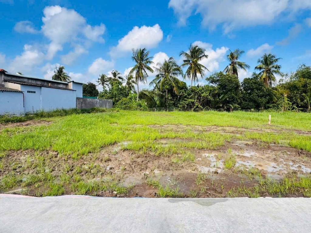 Bán đất vườn 14x30 nở hậu 500m2 mt đan 3m ra Nguyễn Thị Lầu 50m tại Xã Nhựt Tảo Tỉnh Tây Ninh