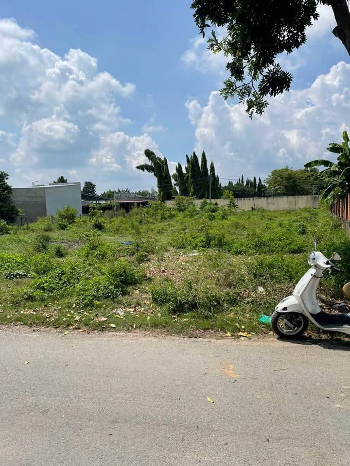 Bán lỗ đất 2 mặt tiền Nguyễn Thị Nếp, Tân Thạnh Đông, Củ Chi 795m2 giá chỉ 650 triệu SHR