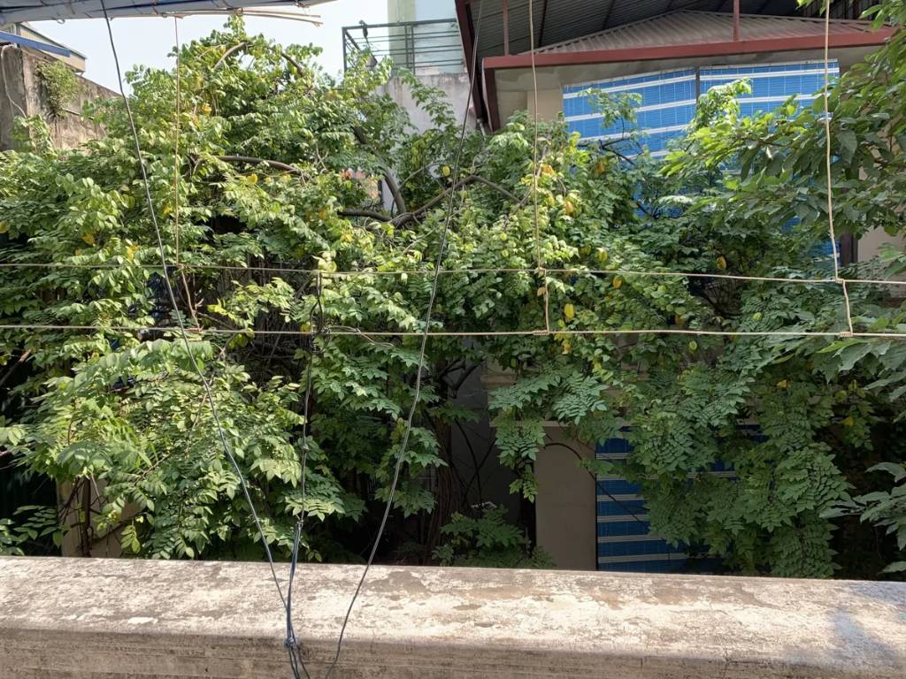 Bán đất phố Láng Hạ, 218m2 mặt tiền 14m, giá 32 tỷ, ngõ ô tô kinh doanh