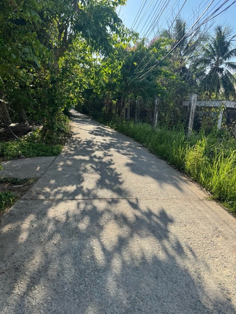 Chính chủ gửi Bán đất gần vườn cây xanh, xã mỹ thạnh an, Tp bến tre