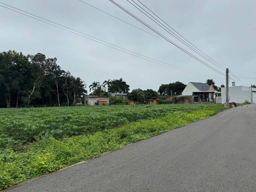 Ngộp! Chú Tuấn gửi bán 1230m2 đất sào, sẵn 150TC TP. HCM, cách ĐH507 hơn 500m, có suối - 850tr