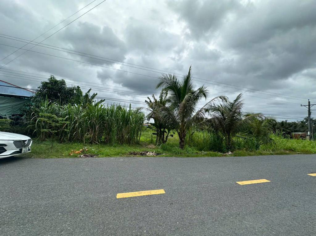 Bán gấp đất Mỏ Cày Nam, Bến Tre, 1650m², vị trí tiềm năng, kinh doanh, giá rẻ 4,2tr/m²